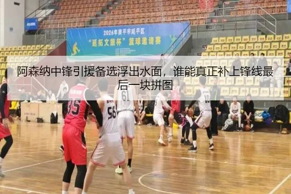 阿森纳中锋引援备选浮出水面，谁能真正补上锋线最后一块拼图